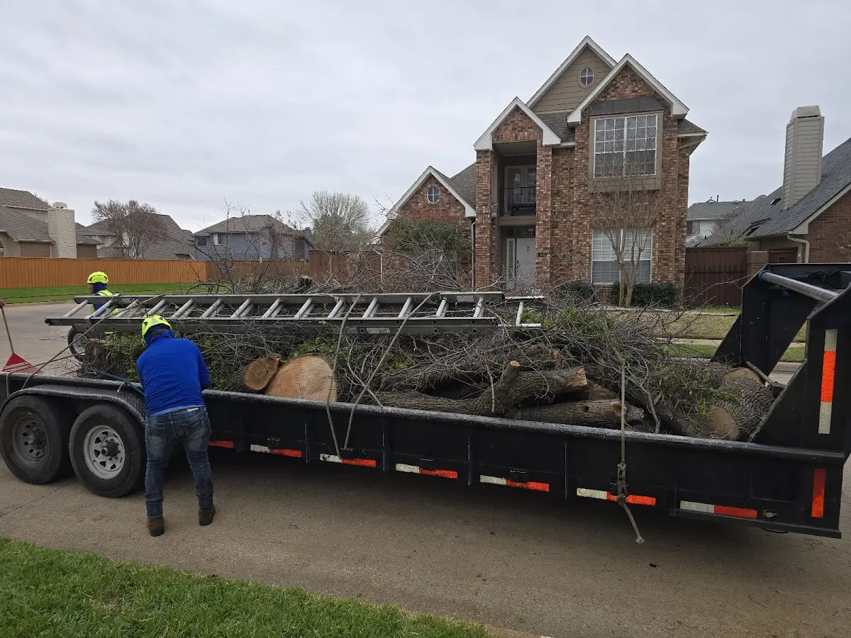 Expert Tree Fertilization with proper safety equipment in Bardwell